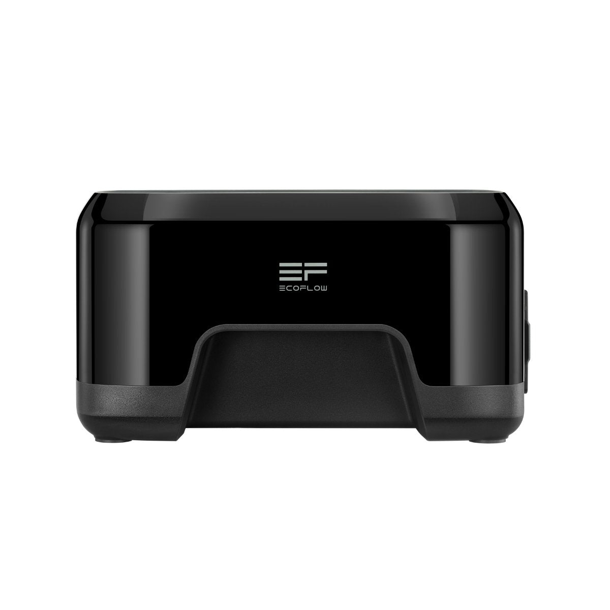 EcoFlow river mini - DroneDynamics.ca